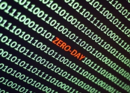 Zero Day Exploits
