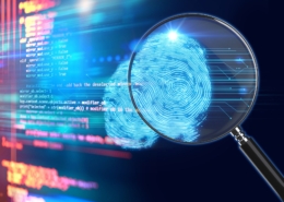 Digital Forensics and Forensic Neutrals